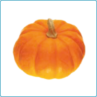 Pumpkin