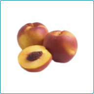 Nectarine