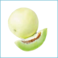 Honeydew Melon