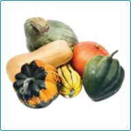 Winter Squash