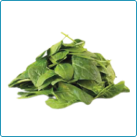 Cooked Spinach