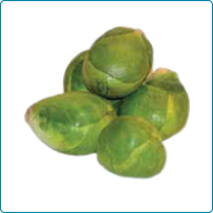 Brussels Sprouts
