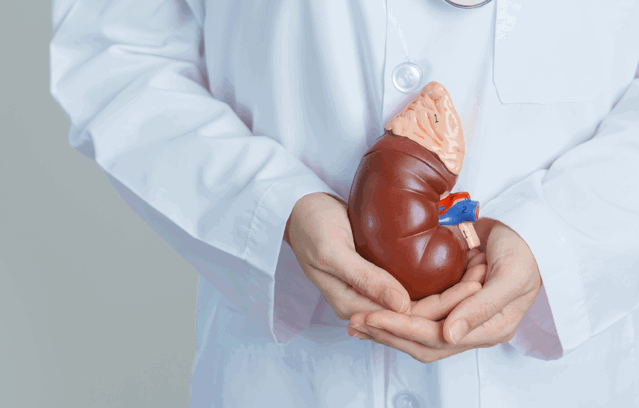 Adrenal Masterclass Weblink Banner Min