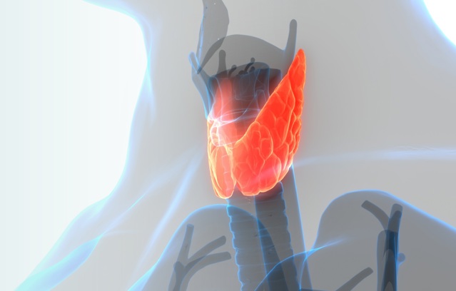 Thyroid Masterclass May Banner