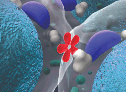 Type 1 And Type 2 Diabetes