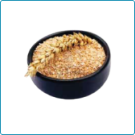 Bran