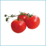 Tomato (Fresh, Juice Or Puree)