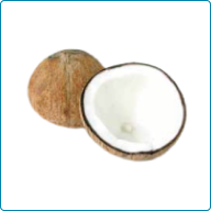 Coconut