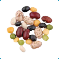 Dried Legumes (Beans, Peas Or Lentils)