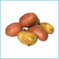 Potatoes (Including French Fries)