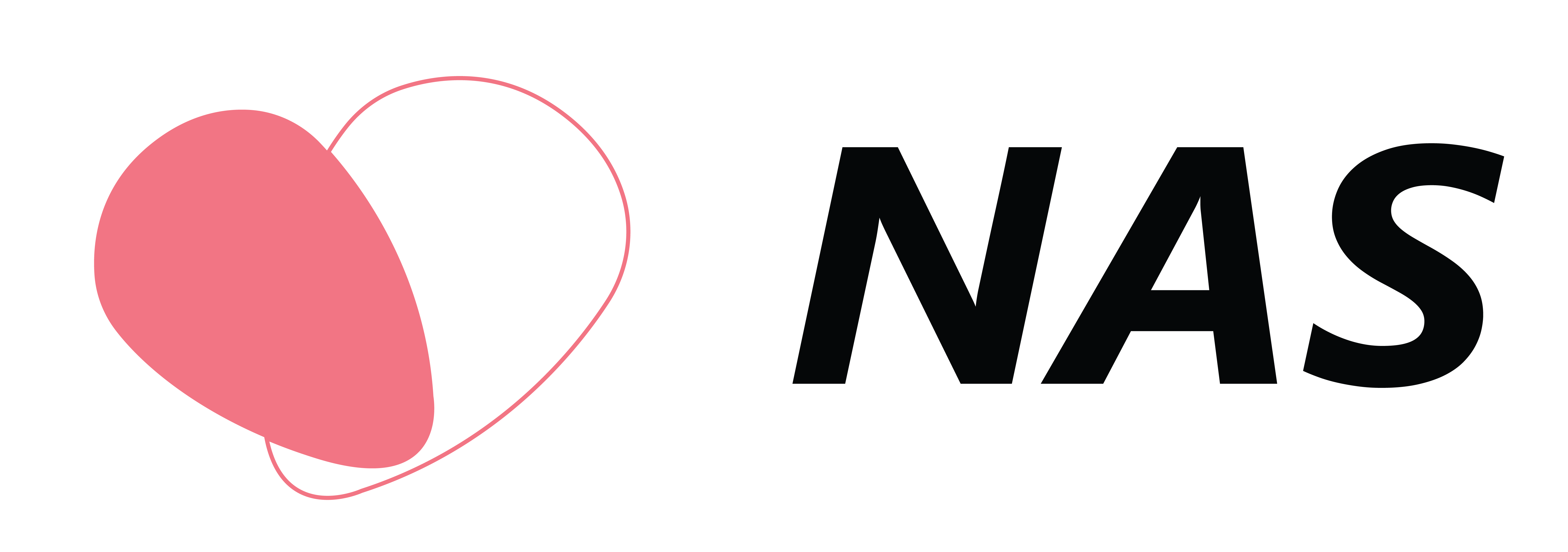 NAS Insurance Logo